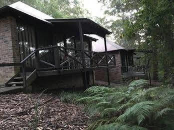 Avoca 3*